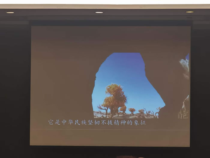 綿陽中旅行假日旅行社舉行胡楊林、南疆專列推薦會